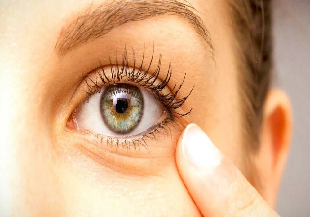 طريقة فحص الشبكية